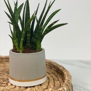 Industrial modern handcrafted cement planter
